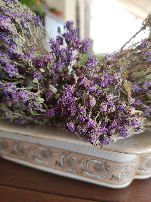Wild Thyme blossomed selected in Greek mountains